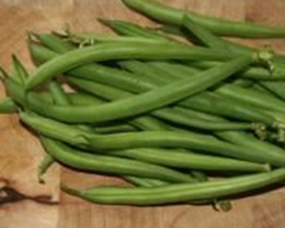 Beans - French 250g