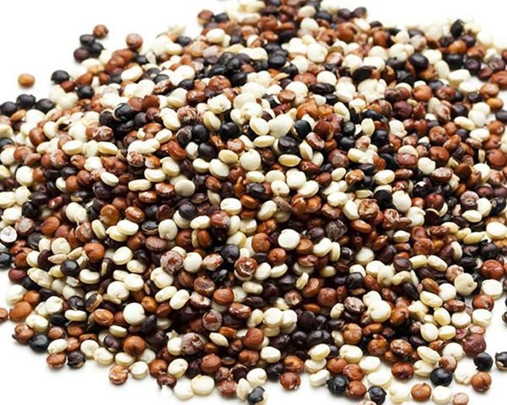 Quinoa Organic: Tricolour - HG