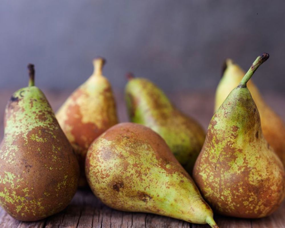 Pear Conference