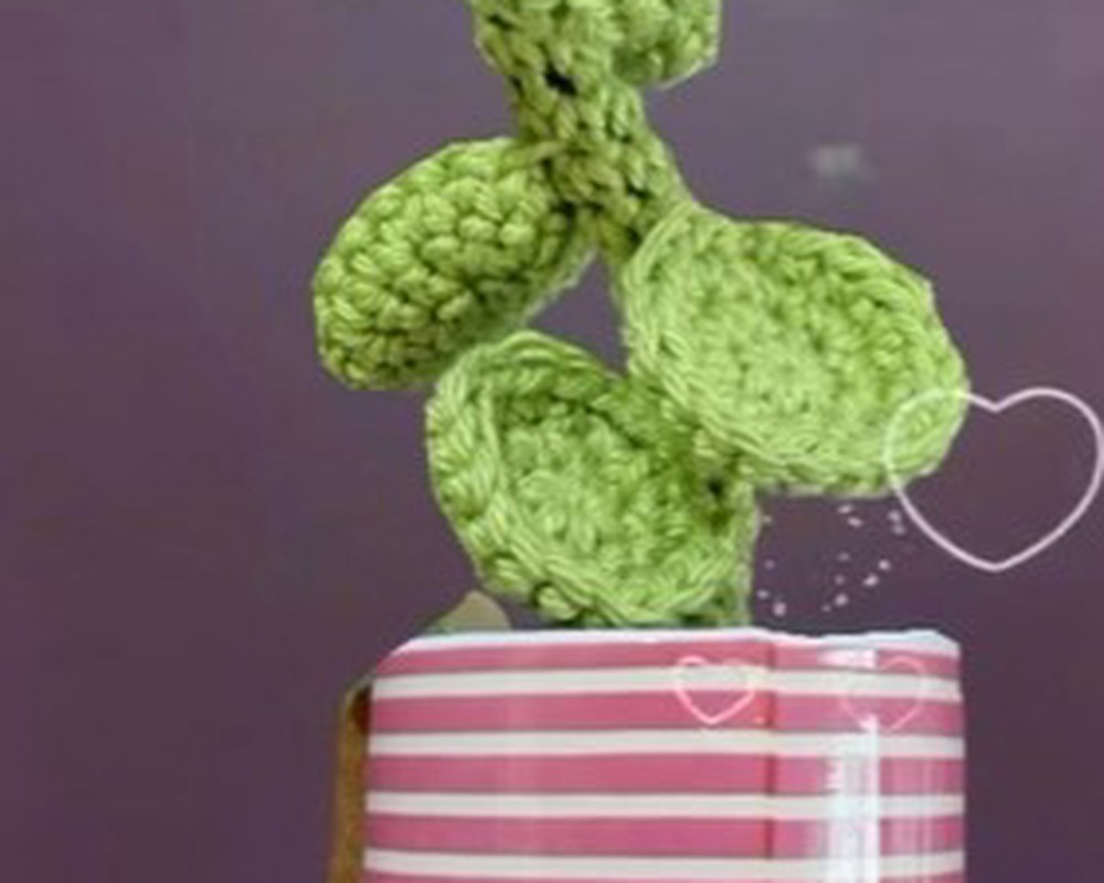 Plumkat little potted crochet succulents