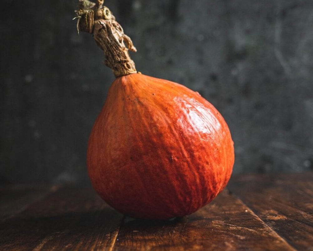 Squash: Red Onion