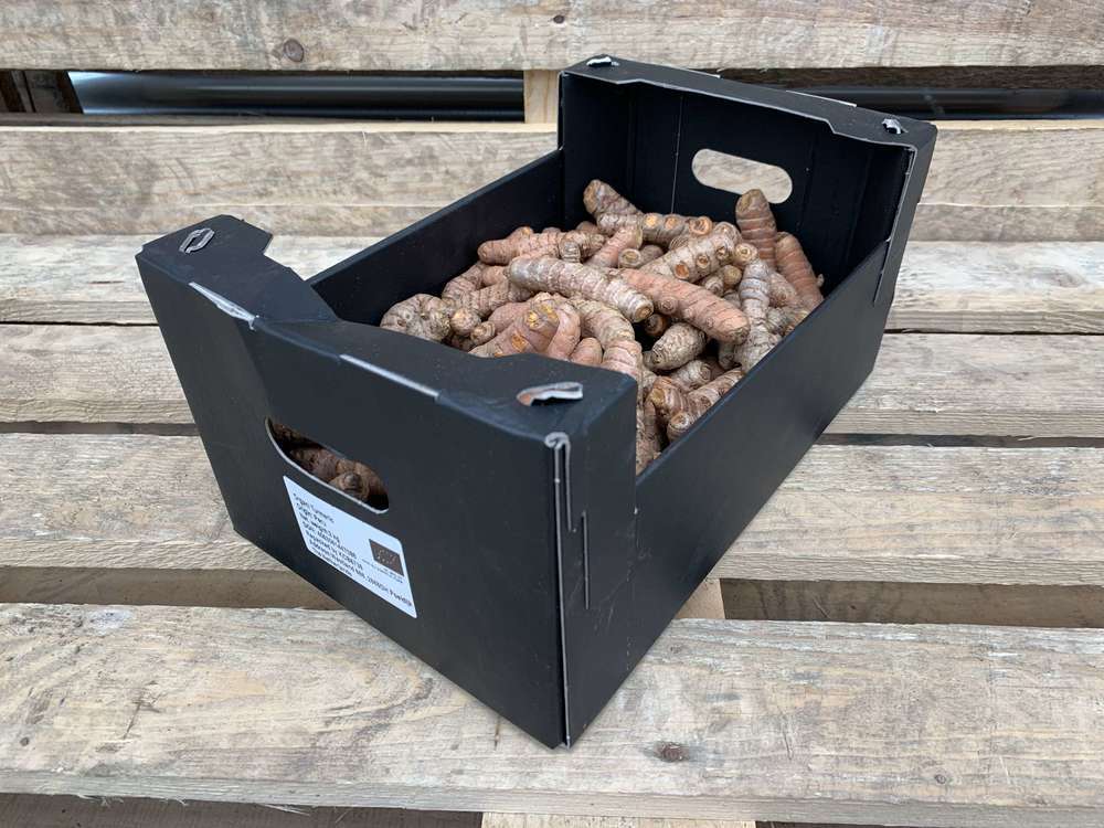 turmeric - 100g