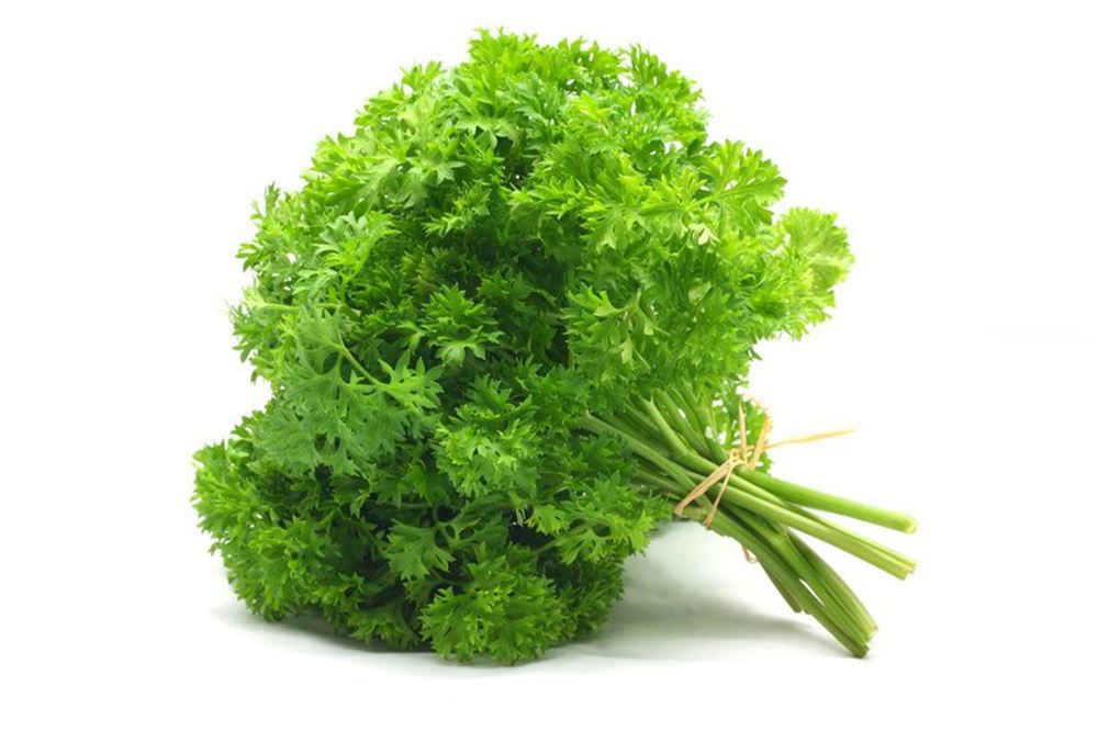 Parsley Curly