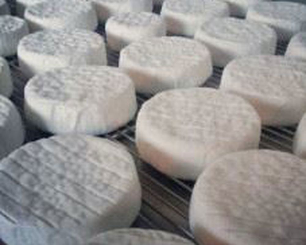 Yorkshire Brie 'Pexommier' cheese organic