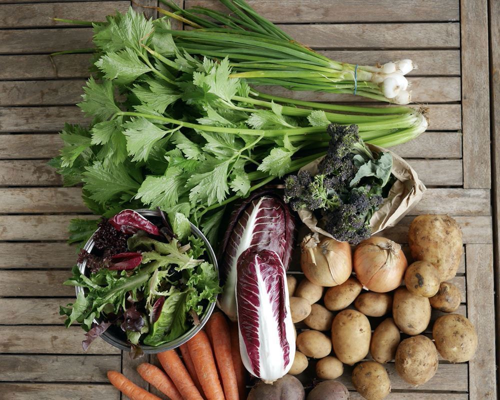 Large Veg Box