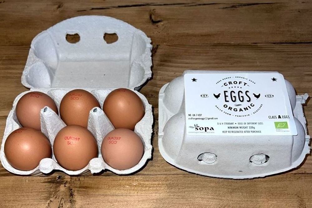 Organic Eggs - Half Dozen