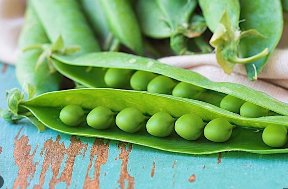 Sugar Snap Peas 165g SCOT