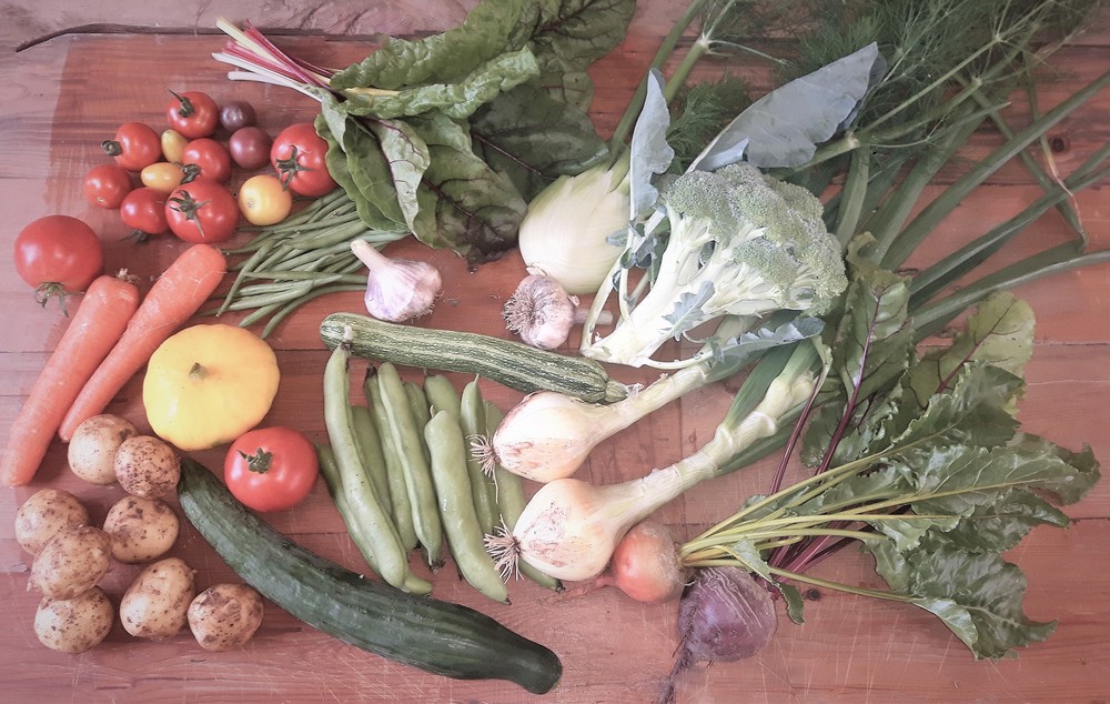 Regular organic veg box