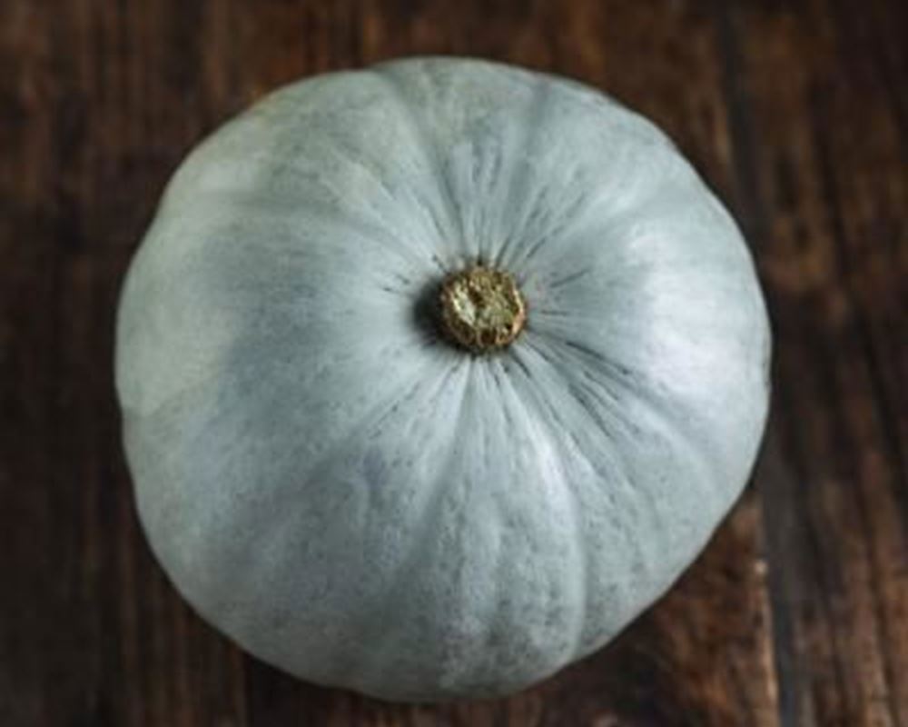 Squash - Crown Prince 500g