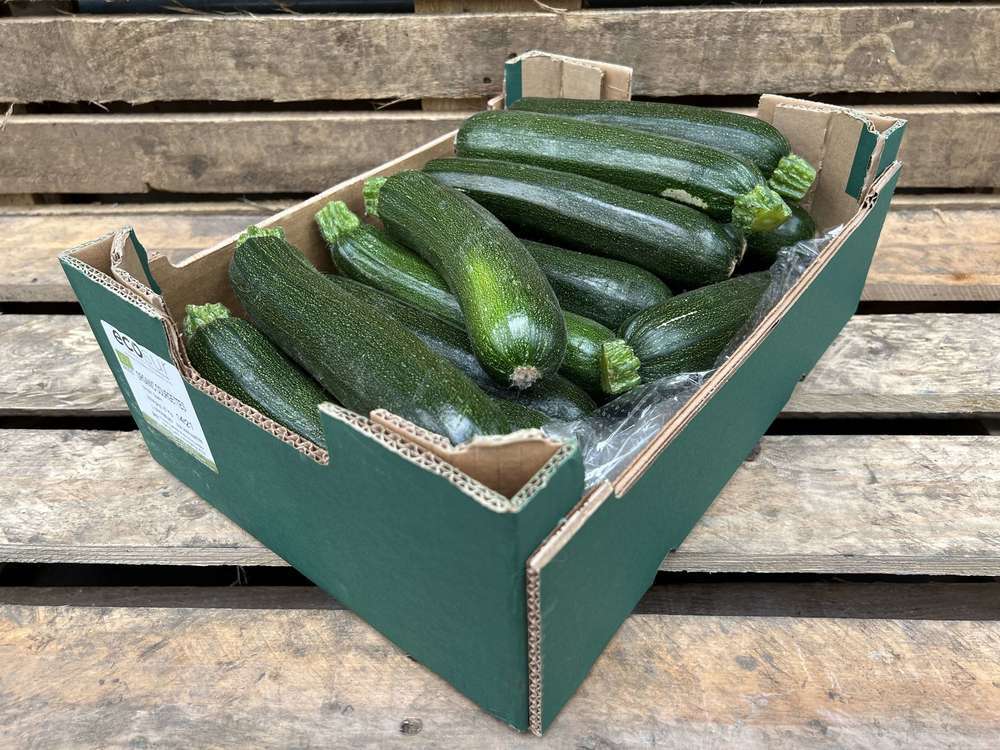 Organic Courgette