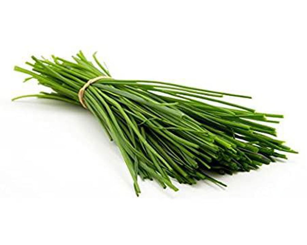 Herbs: Chive