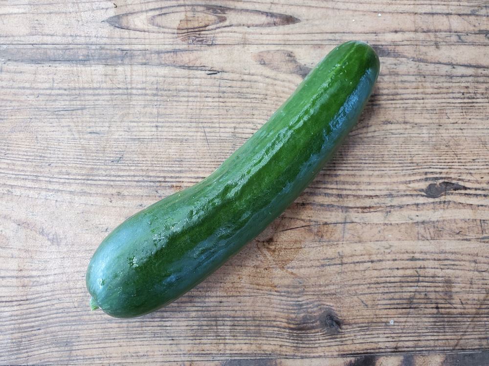 Cucumber