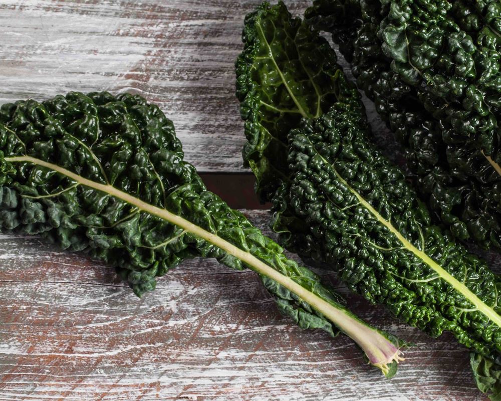 Cavolo Nero