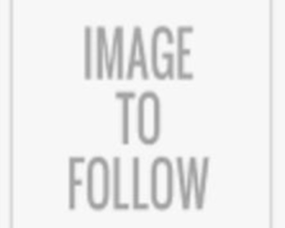 Wholewheat Loaf 400g