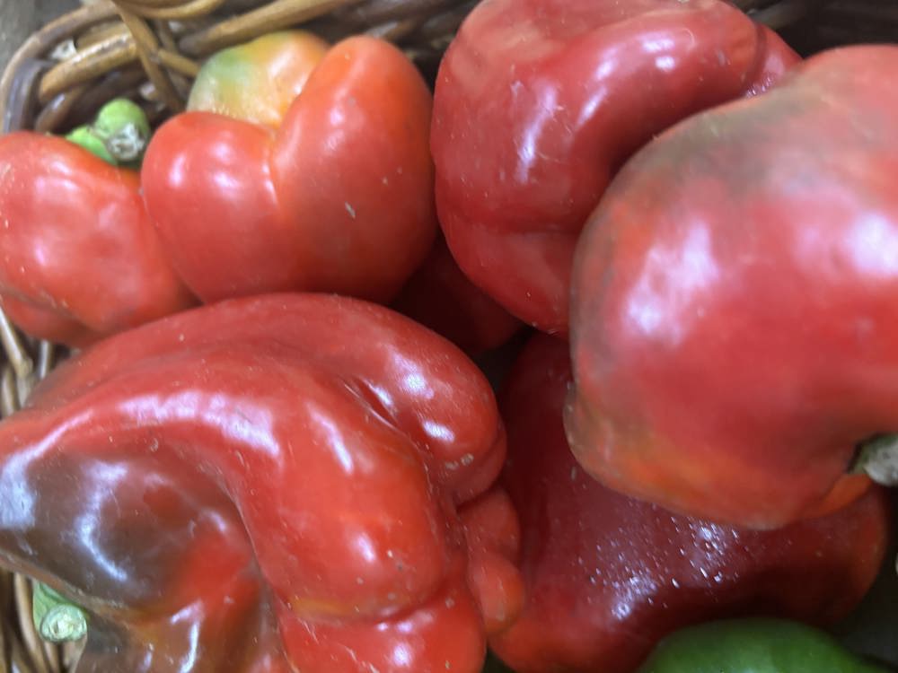 Capsicum Red