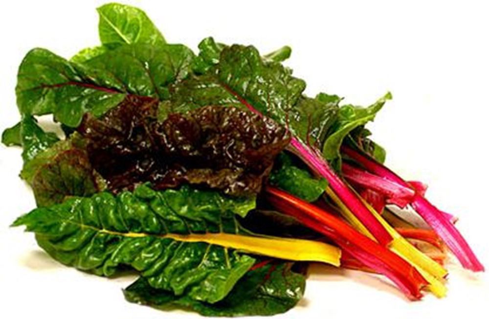 Chard EKG