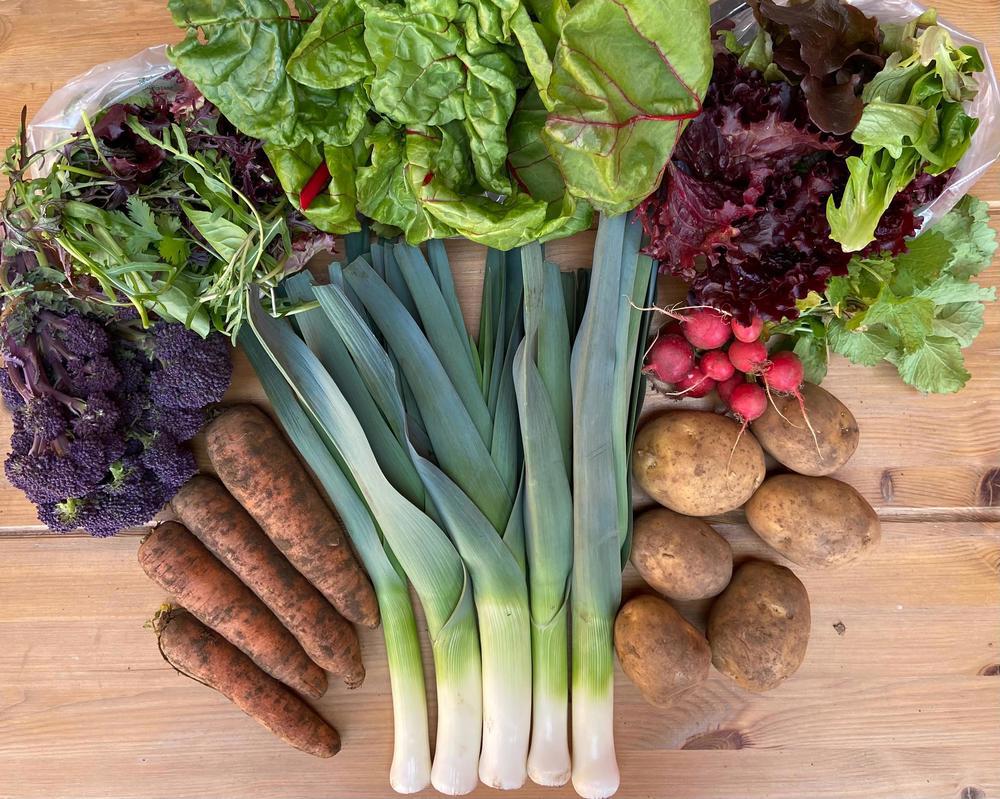 Seasonal Veg Bag LARGE