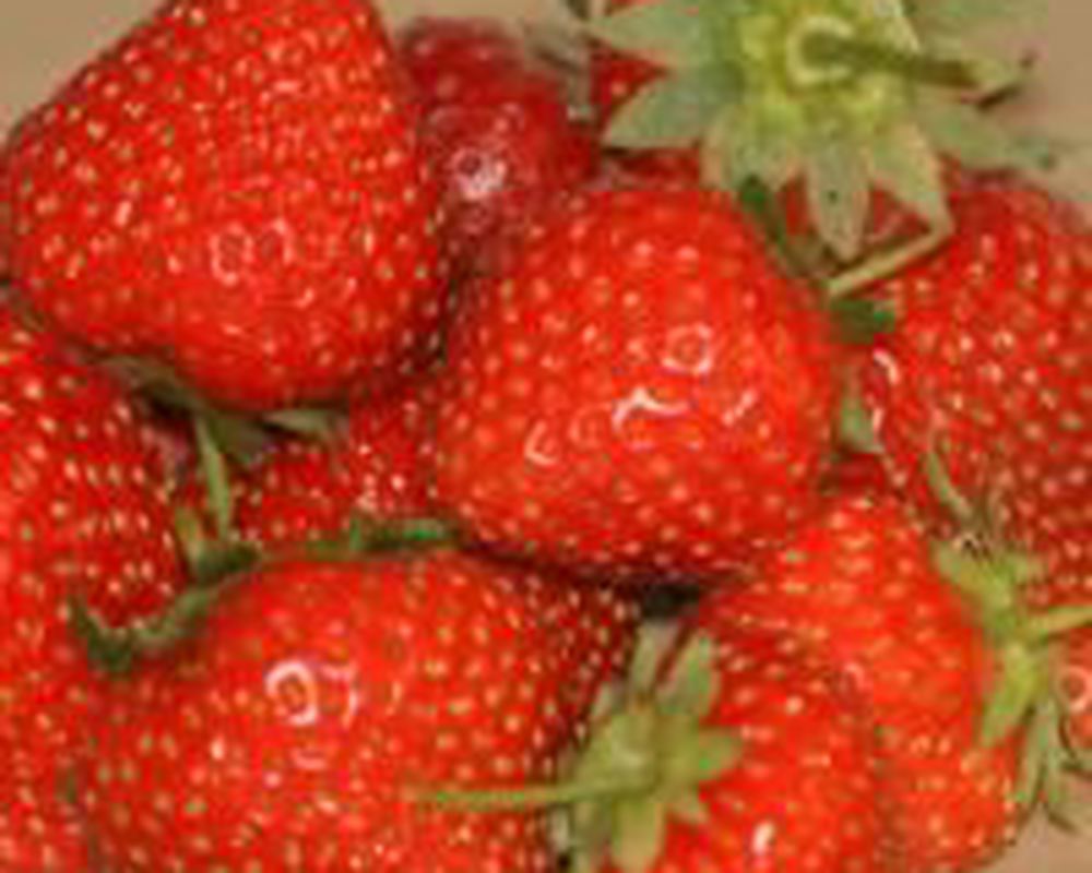 Strawberries - 200g
