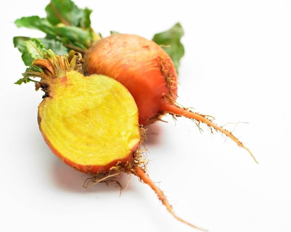 Beetroot: Golden