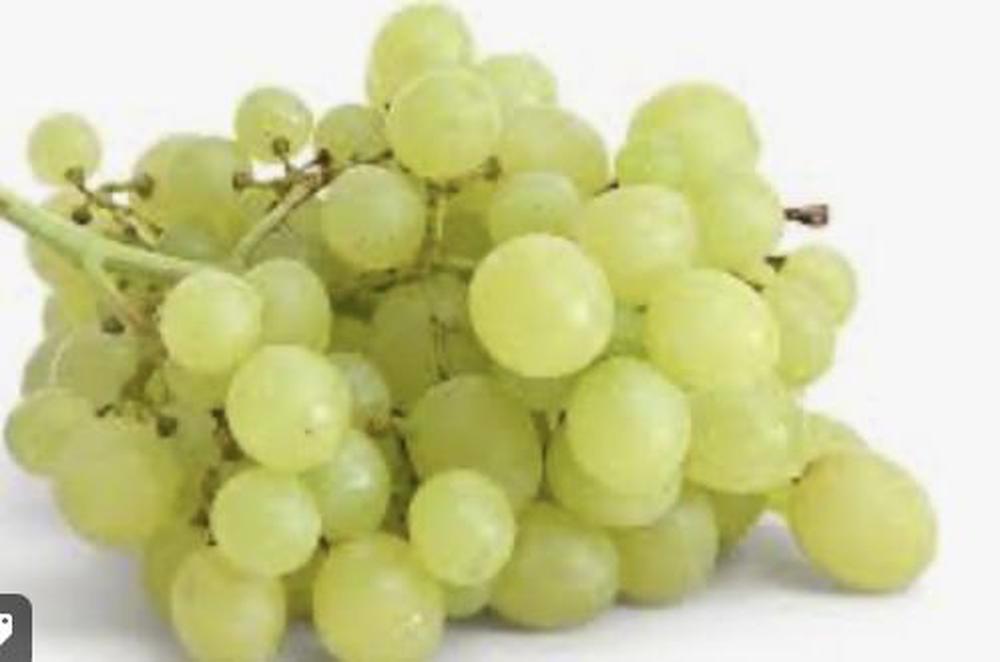 Grape 🇪🇸