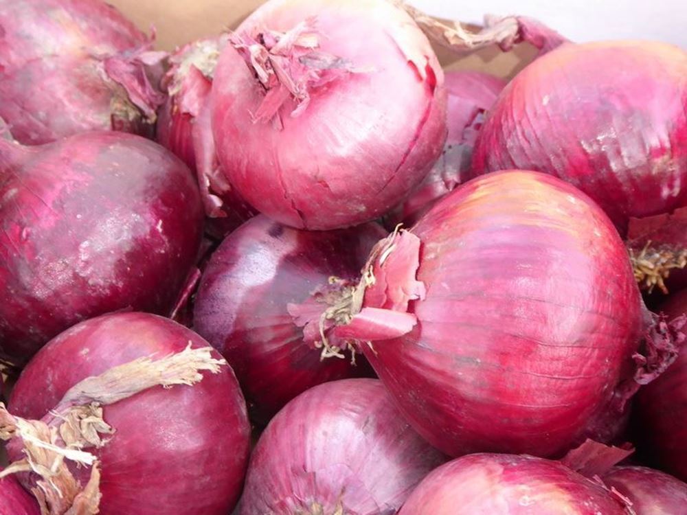 V.Onions - red - approx 500g