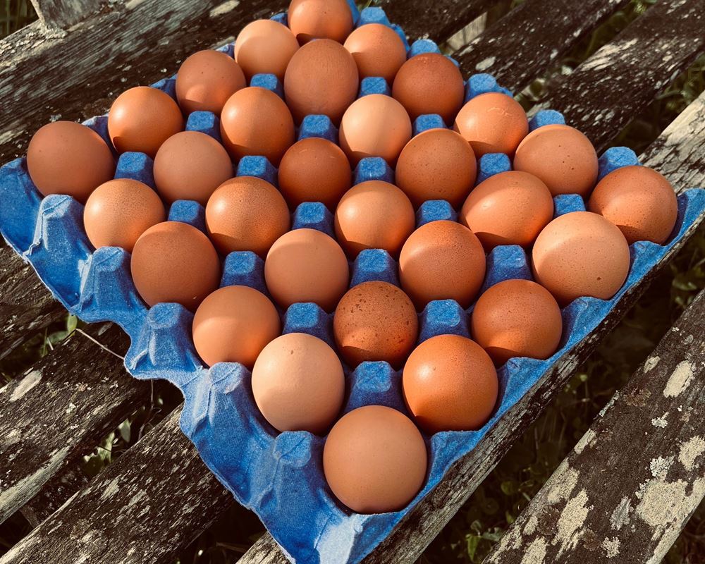 Eggs, tray