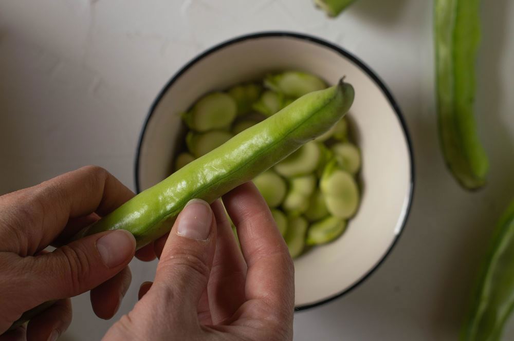 Broad Beans