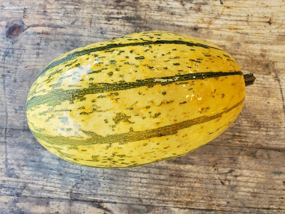 Squash - spaghetti (1 - 1.2kg)