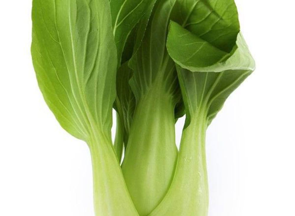 Choy: Pak (BUNCH)