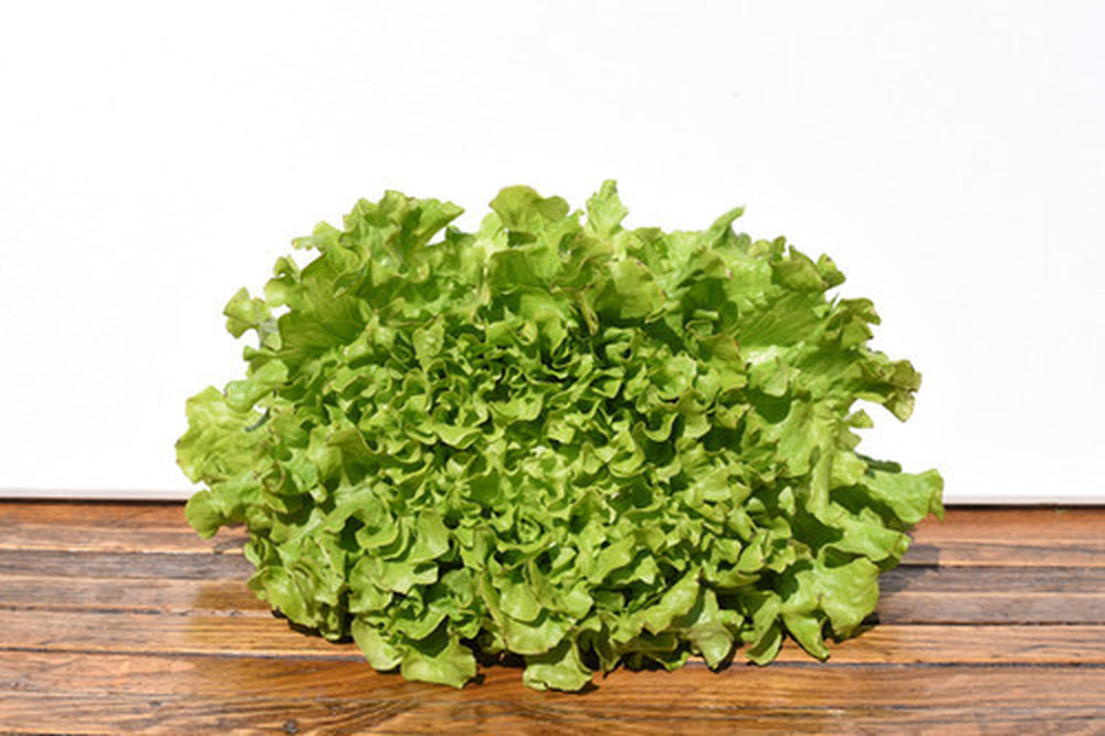 Organic Lettuce Large