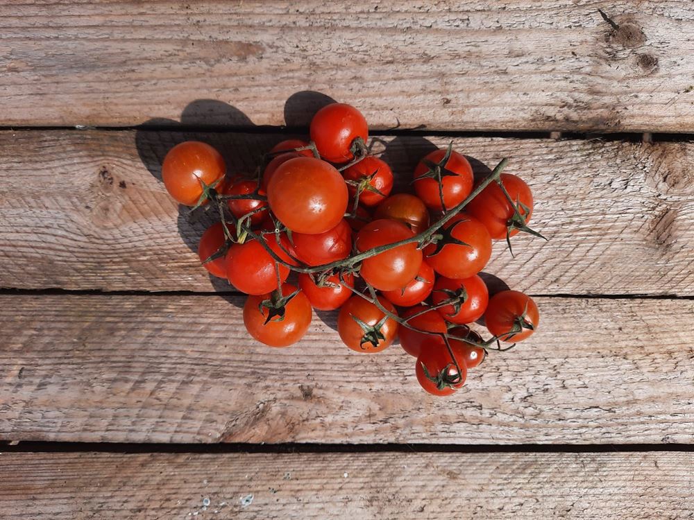 Tomato, Cherry Vine (250g) 🇪🇸