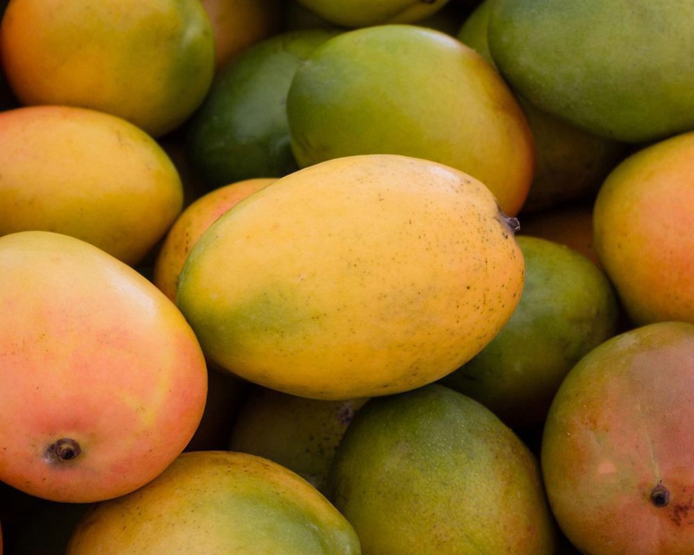 Organic Spanish Mango