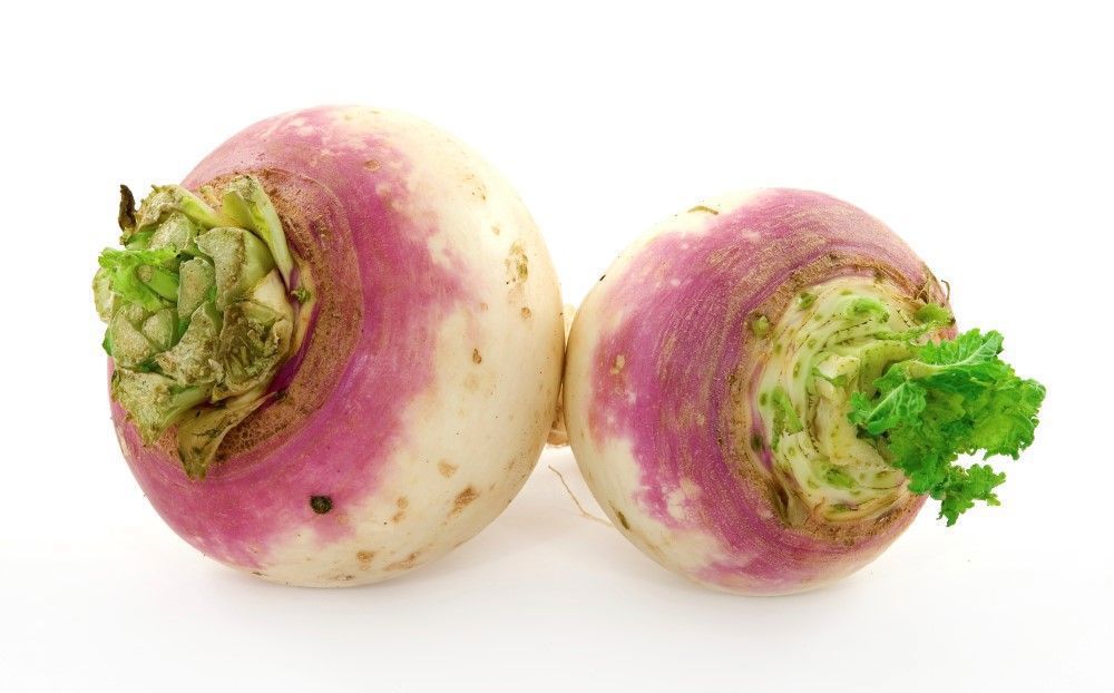 vTurnips Bunched