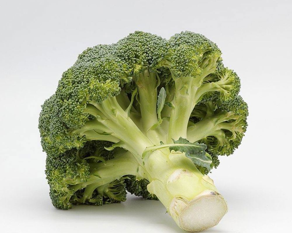 Broccoli