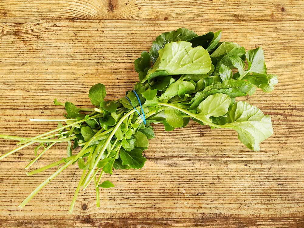 Landcress