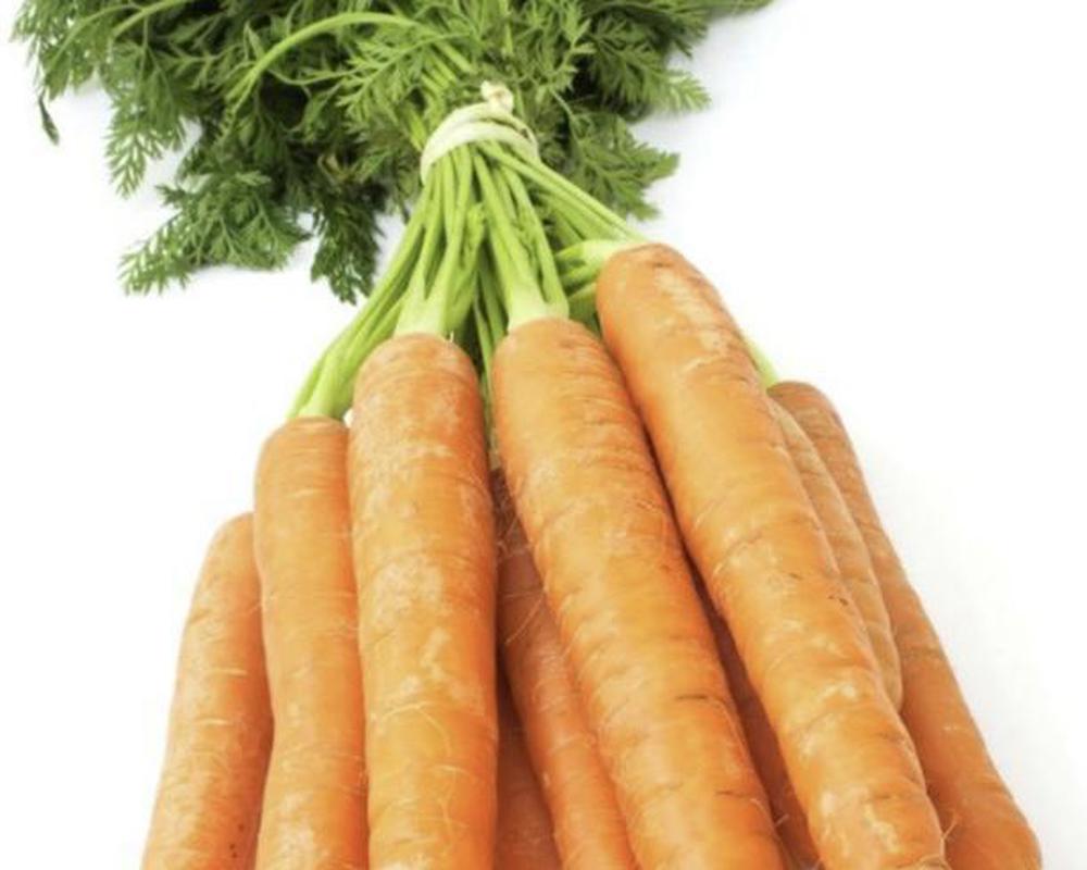 Carrots bundle