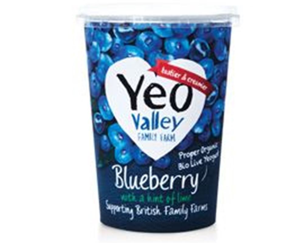 Yoghurt - Blueberry & Lime Organic