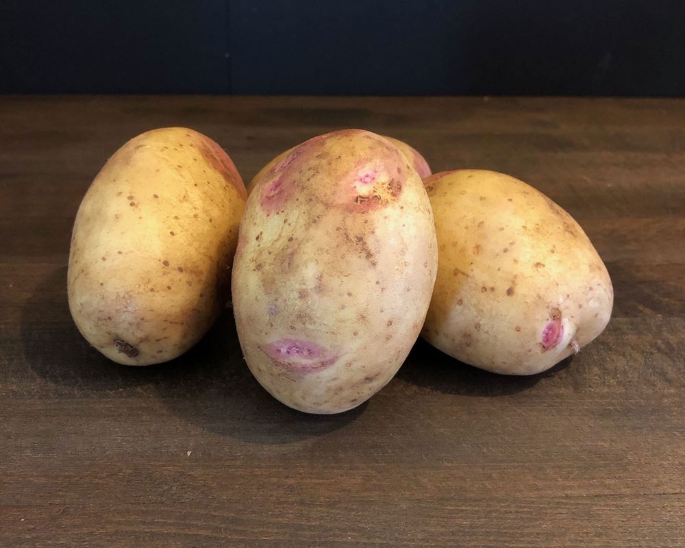 Potato New White (Gatsby)