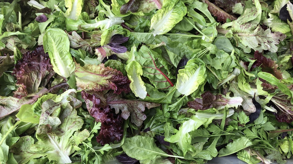 Medium Veg Bag