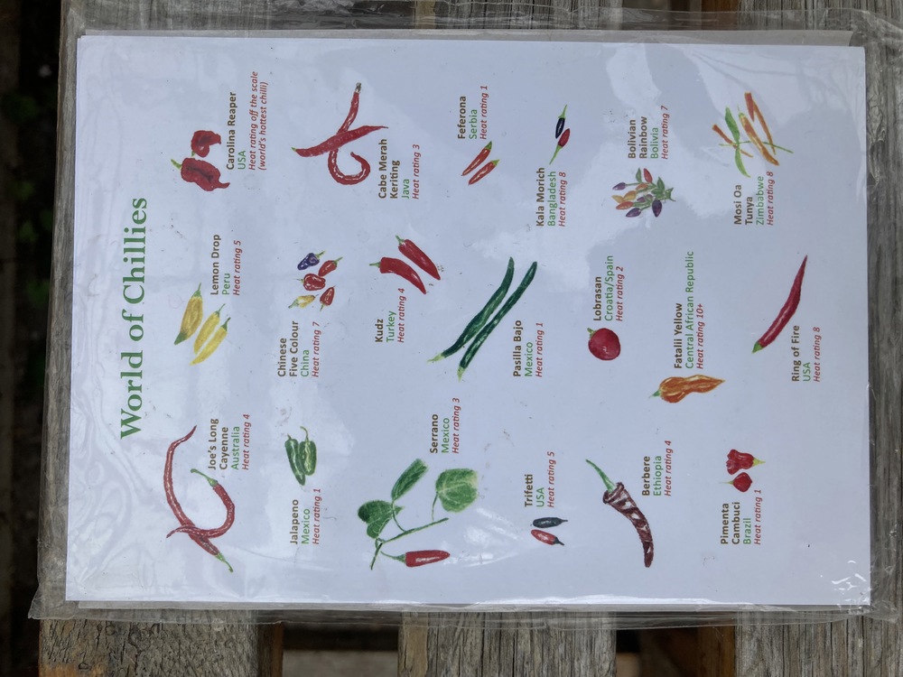 Postcards (World of Chillies)