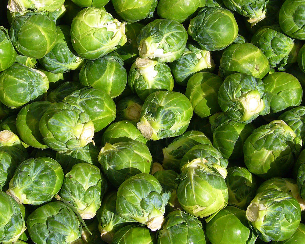 Organic Brussels Sprouts