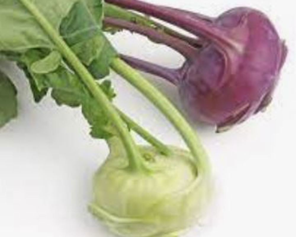 Kohl Rabi 🇬🇧