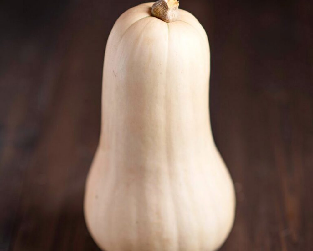 Butternut Squash