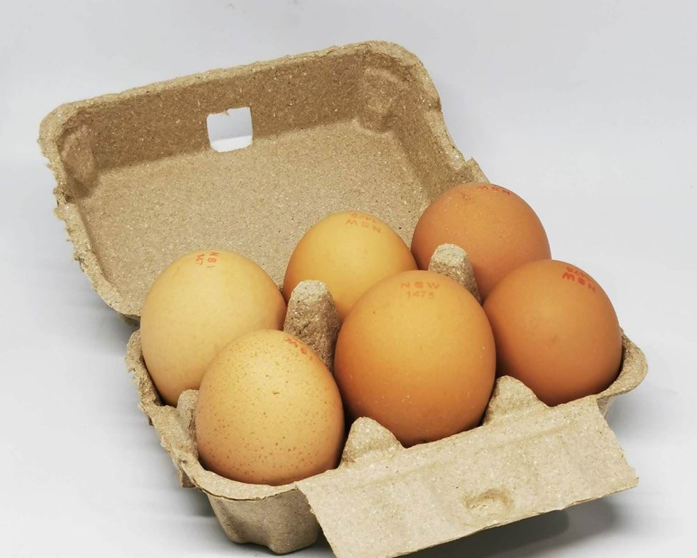 Eggs Natural: Half Dozen - Large - MH