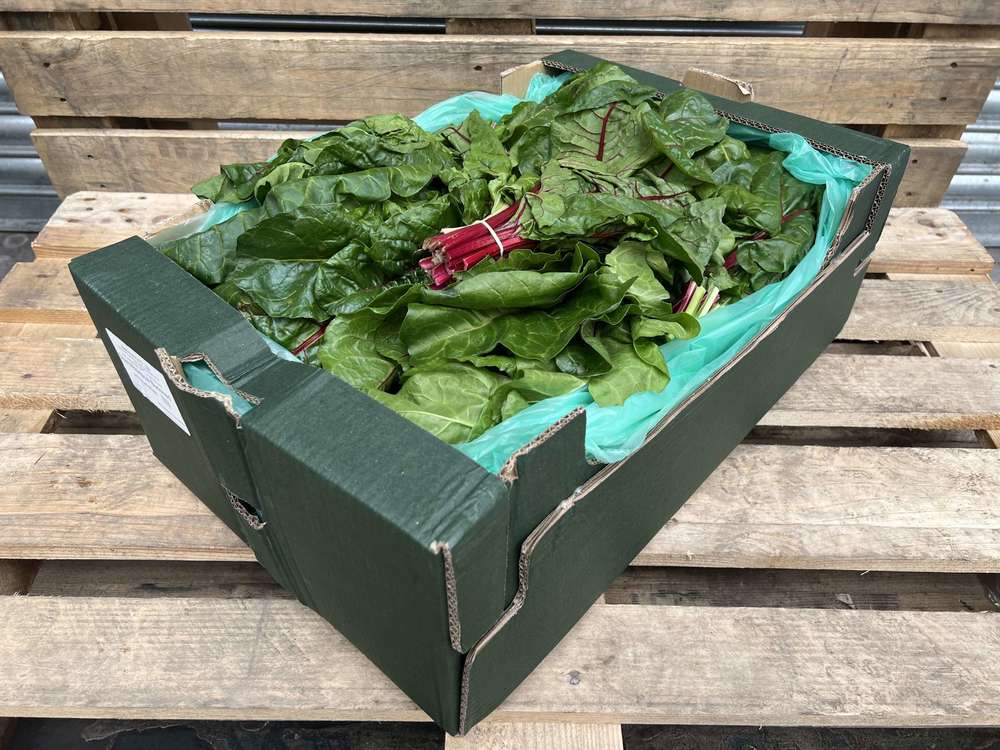 Chard - Organic rainbow - 1 bunch