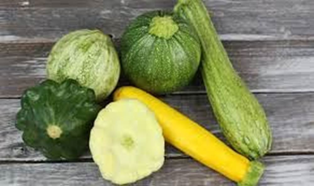 Courgette, mixed - approx. 500g (own grown)