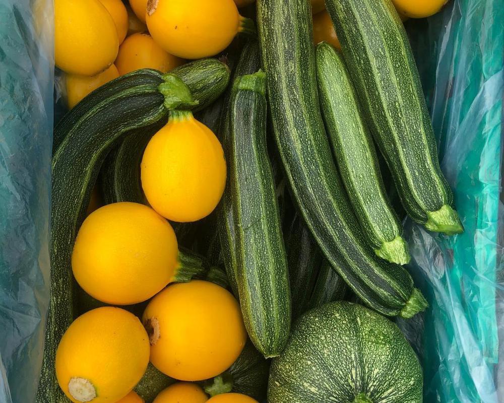 Courgettes - Organic British mixed