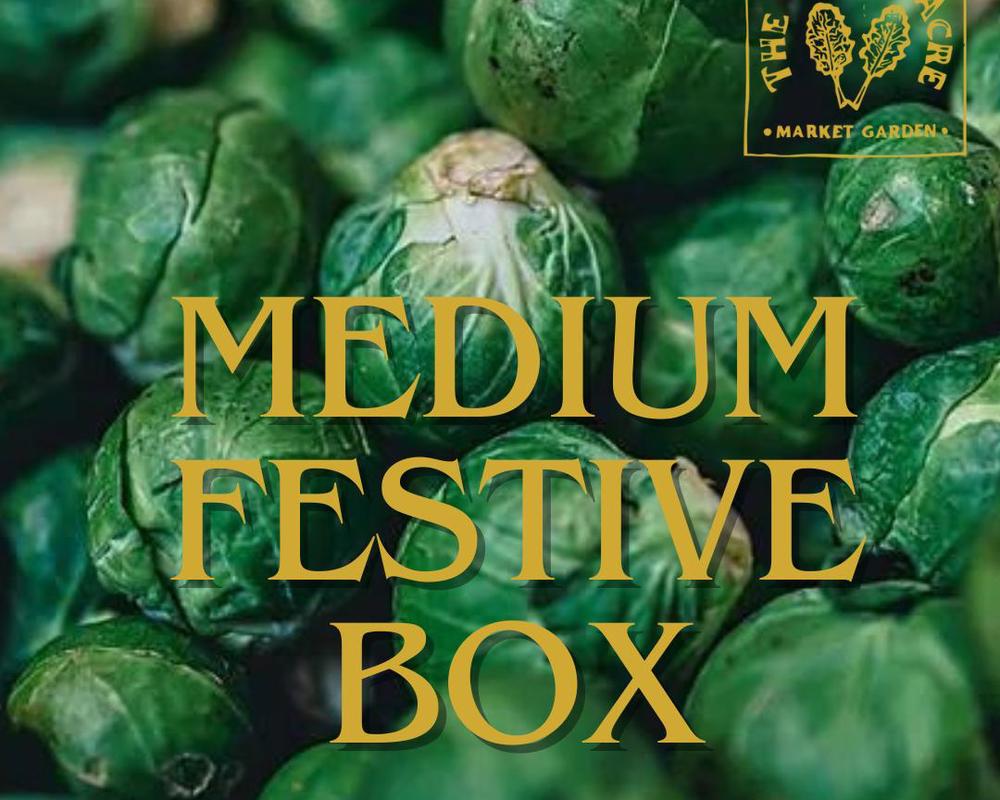 Medium Festive Box