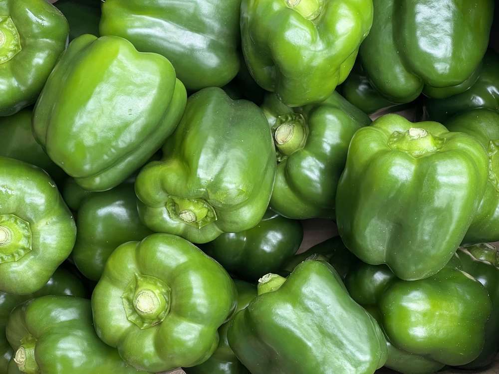 Organic Green Peppers (500g)