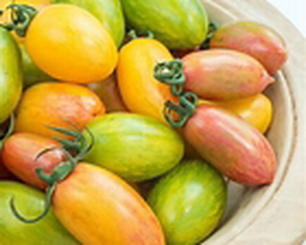 mini plum tomato